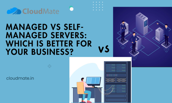Managed vs Self-Managed Servers