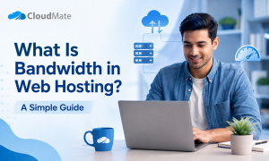 Bandwidth in Web Hosting